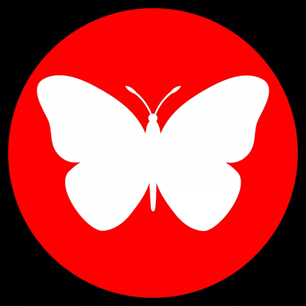 KiriganaFairies Avatar